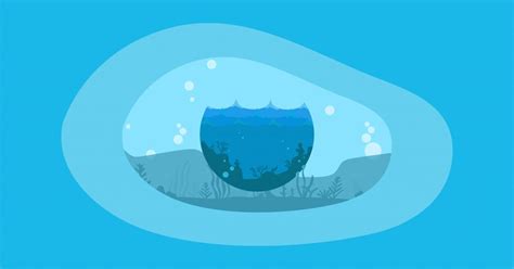 9 Best Charities to Save Our Oceans (Complete 2024 List) .